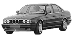 BMW E34 B208A Fault Code